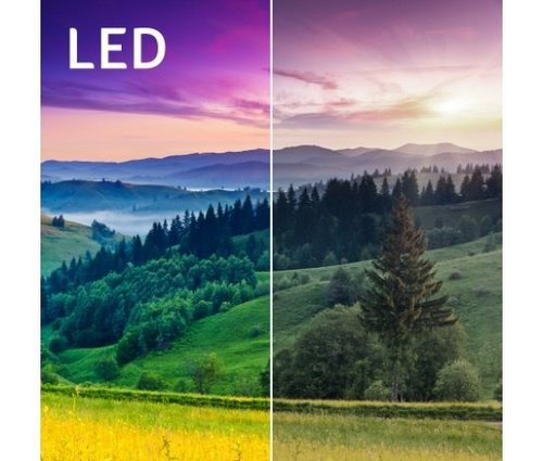 Широкая цветовая гамма светодиодной подсветки Acer C202i